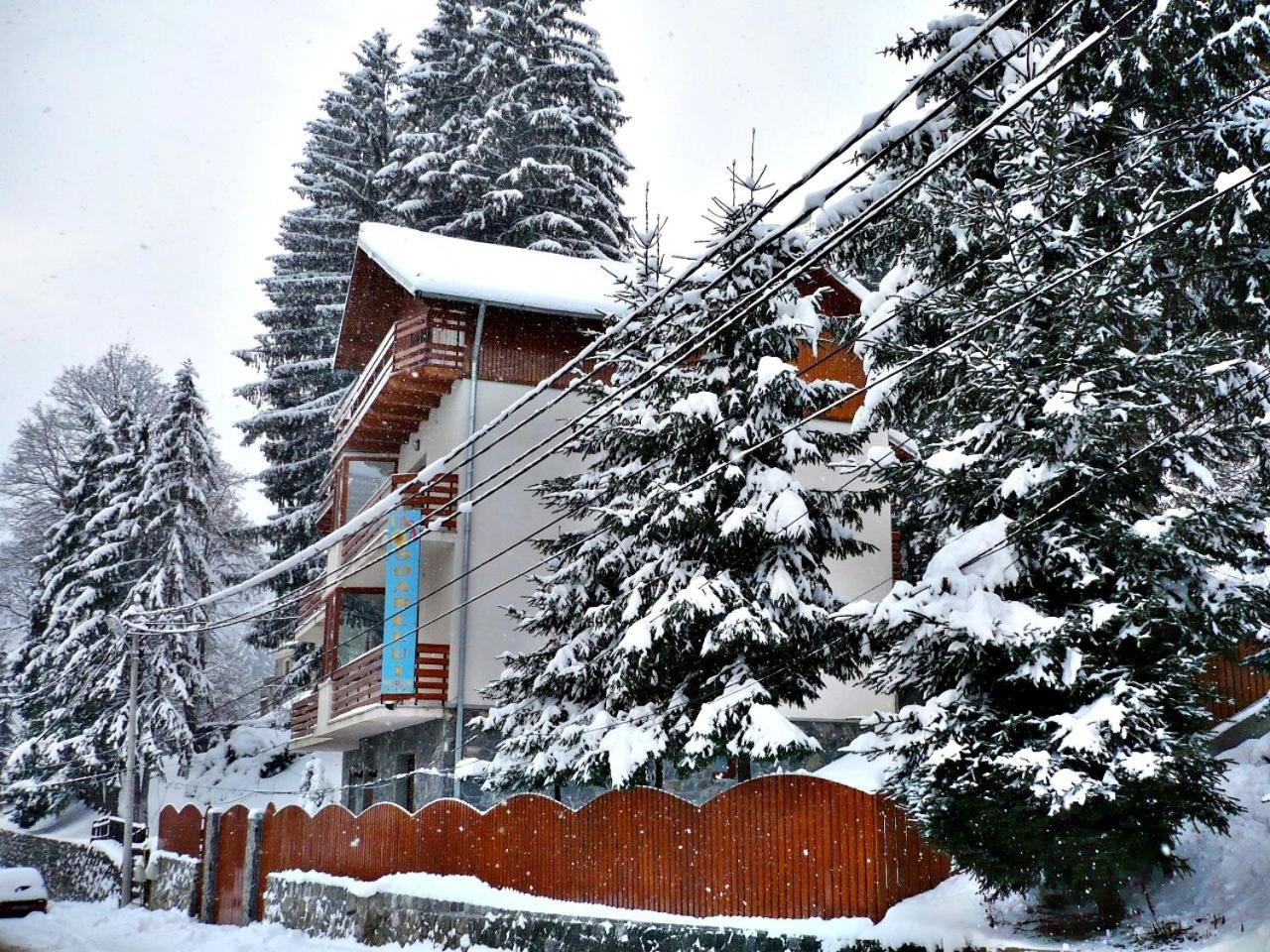 Pension Casa Soarelui Sinaia Exterior photo